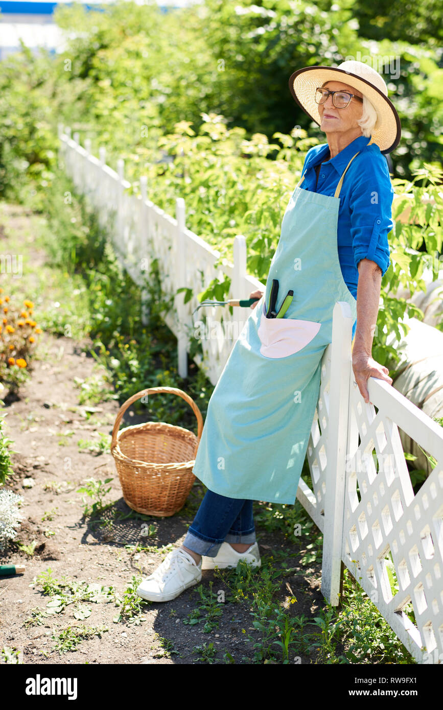 Happy Gardener posant par Plantation Banque D'Images