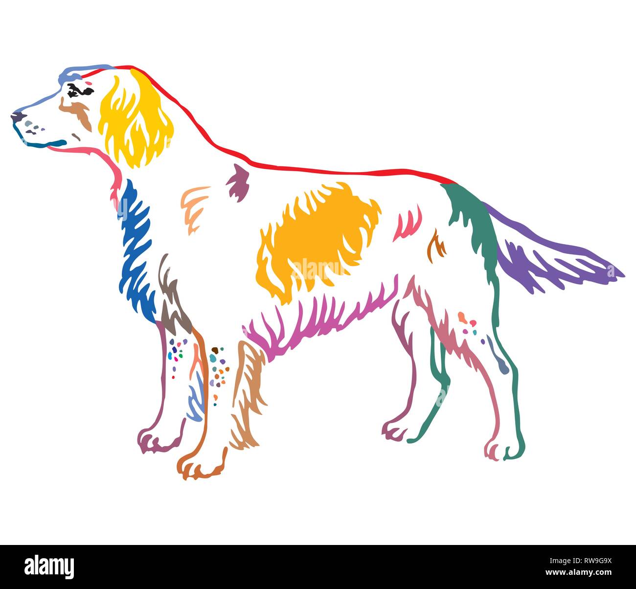 Contour coloré de l'article portrait de décoration en profil Grand Epagneul de chien, vector illustration isolé sur fond blanc Illustration de Vecteur