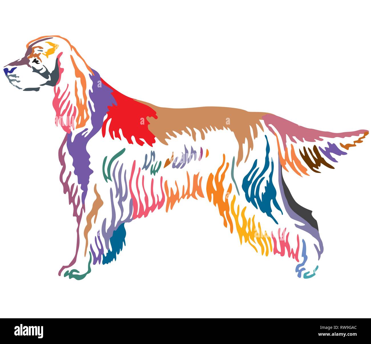 Contour coloré de l'article portrait de décoration en chien Setter Gordon profil, vector illustration isolé sur fond blanc Illustration de Vecteur