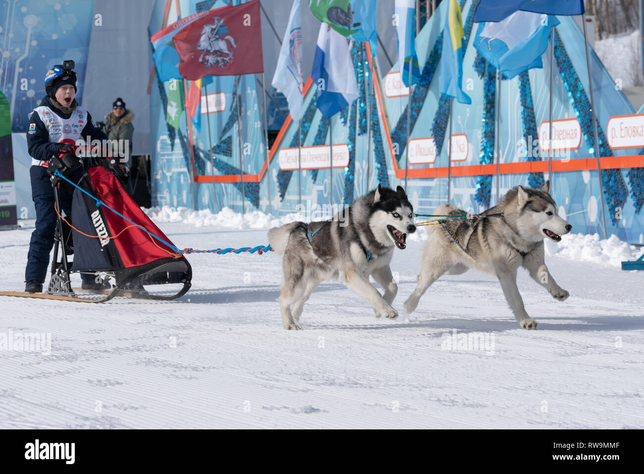 Les enfants du Kamtchatka Course de luge de chien Concours Dyulin la Béringie. L'exécution de traîneau à chien husky jeune musher par stadium Banque D'Images