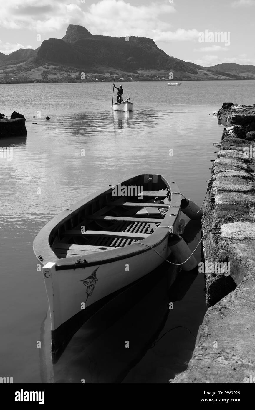 Mountain Lion Vous ne pouvez pas manquer la Montagne Lion quand vous êtes dans le sud-est de l'Ile Maurice Banque D'Images