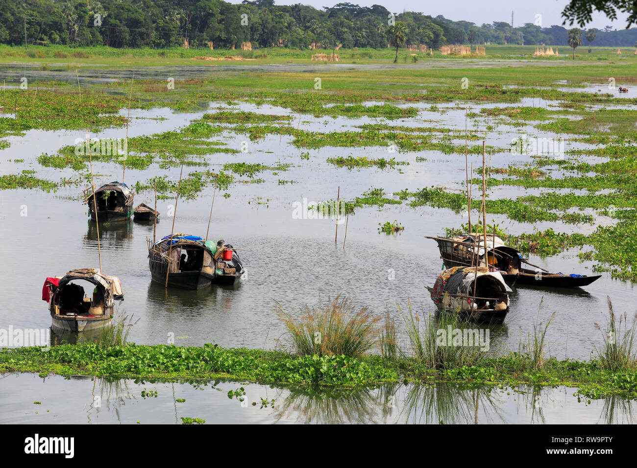 Gypsy flottante bateaux sur le fleuve à Faridpur.Dhaka, Bangladesh. Banque D'Images