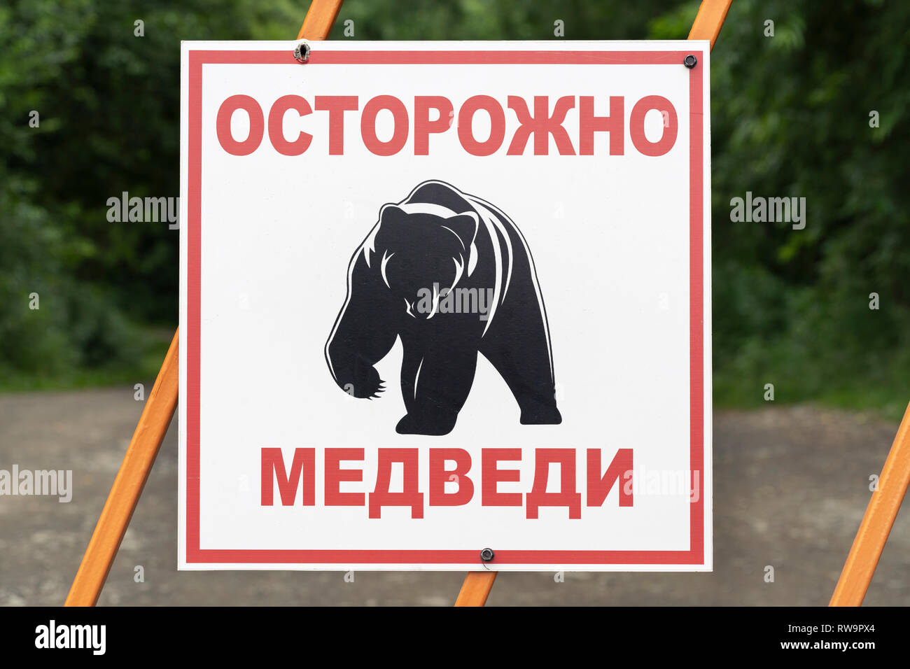 Panneau d'avertissement sur l'équerrage en russe : Attention les ours et pictogramme noir l'ours brun du Kamtchatka. Inscrivez-vous sur fond de forêt verte et route de campagne. Banque D'Images