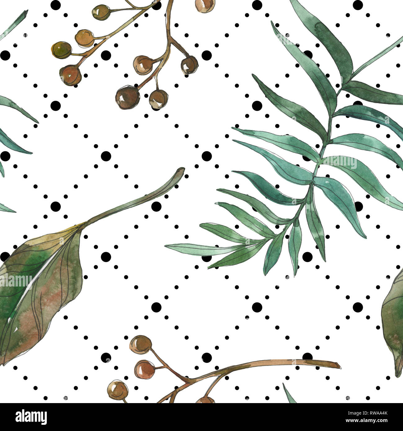 Hawaiian tropical exotique de l'été. Palm Beach de feuilles d'arbres. Illustration à l'aquarelle. Aquarelle Dessin aquarelle mode isolé. Background transparent Banque D'Images