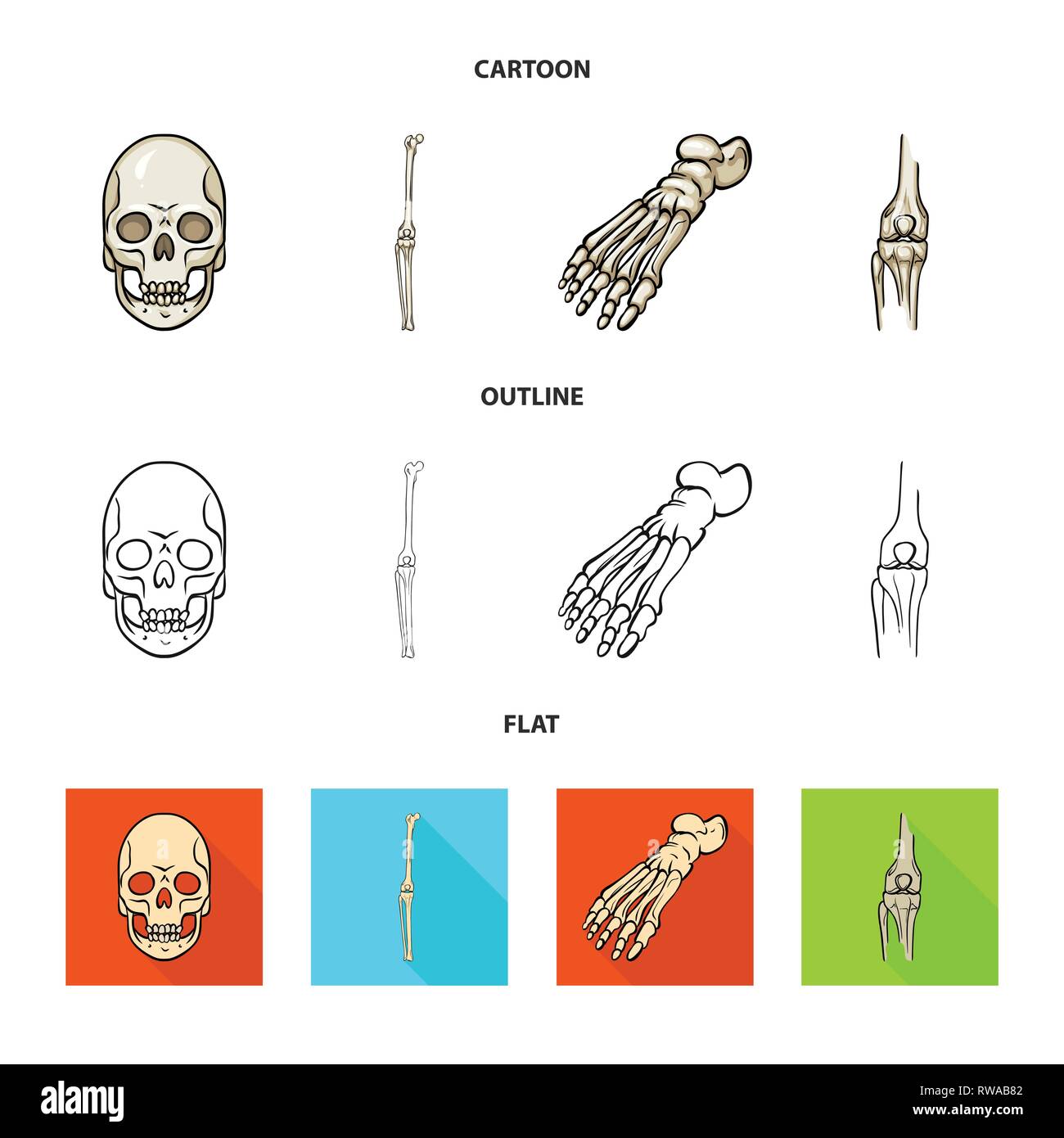 Crâne,Genou,foot,fémur,la mort,joints,cheville,bony,monster,sain,ménisque,jambe,le mal,body,reiki,horreur,avant-pied,tibia,tattoo,panneaux,péroné,chirurgie,tête,les pieds plats,eye,mouvement,dommage,l'enfer,les dents,cartilage,motion,médecine, biologie médicale,clinique,os,squelette,anatomie,des,organes,,set,icône,,illustration,collection,isolé,design,graphisme,élément vecteur vecteurs,signer , Illustration de Vecteur