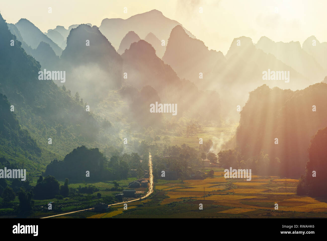 Belle étape de terrasse de riz de paddle-champ dans le coucher du soleil et l'aube à Trung Khanh, Cao Bang, Vietnam, près de Mu Cang Chai et Sapa Banque D'Images