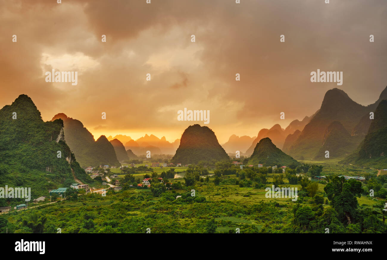 Belle étape de terrasse de riz de paddle-champ dans le coucher du soleil et l'aube à Trung Khanh, Cao Bang, Vietnam, près de Mu Cang Chai et Sapa Banque D'Images