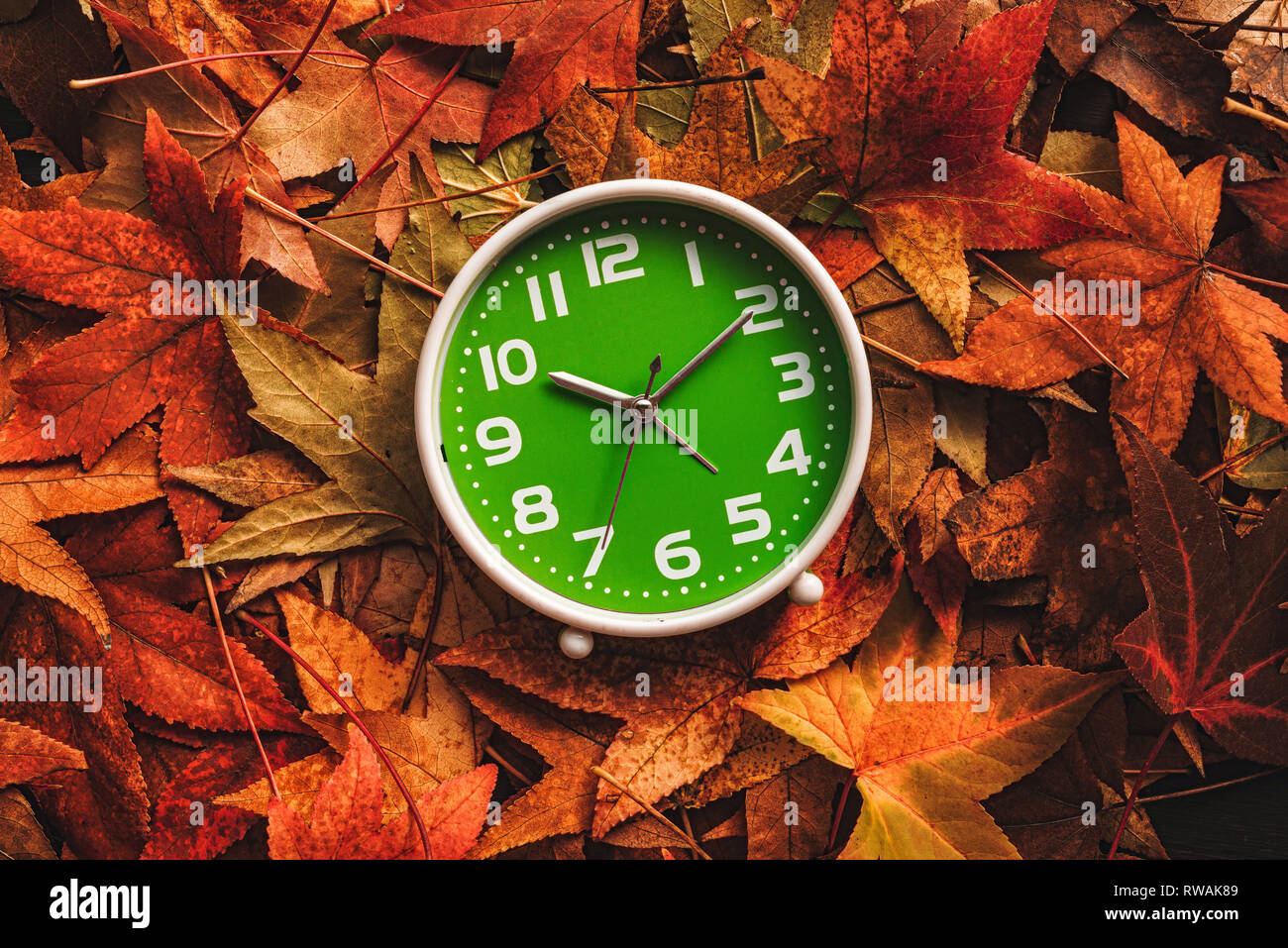 La saison d'automne, temps retro vintage réveil dans les feuilles d'automne - concept de l'heure d'été Banque D'Images