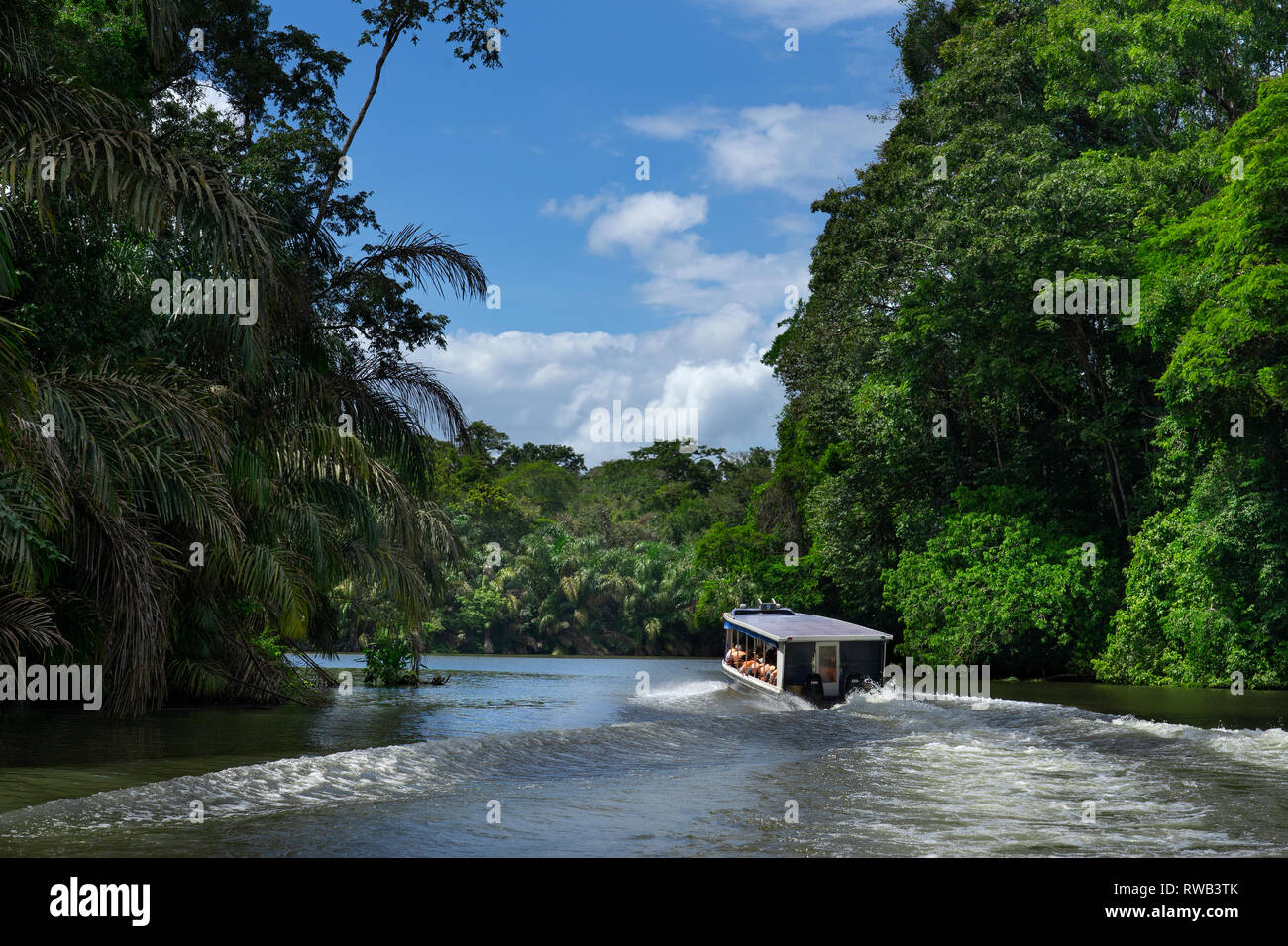 Les touristes transportés à Parc National de Tortuguero, Costa Rica sur des bateaux Banque D'Images