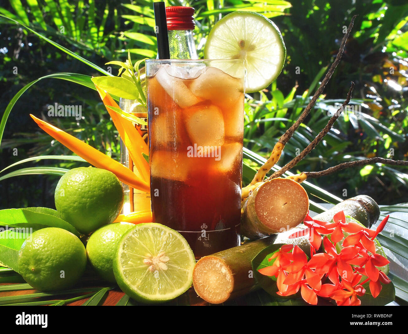 Cocktail Cuba Libre sur fond Tropical Banque D'Images