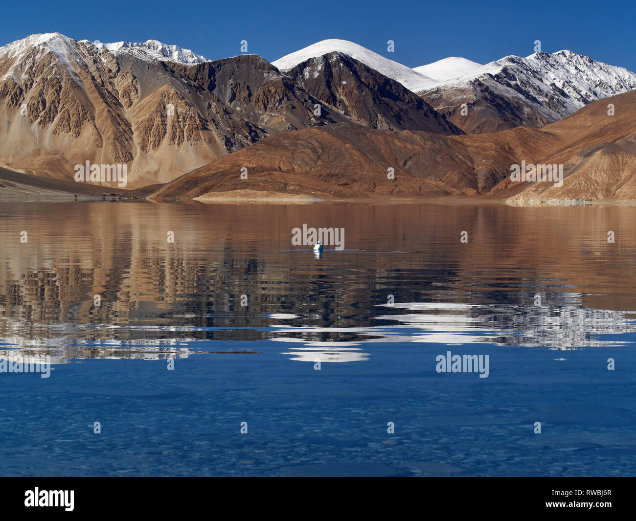 Reflet miroir de montagnes à la surface de l'eau du lac Pangong, Jammu-et-Cachemire, en Inde. Banque D'Images