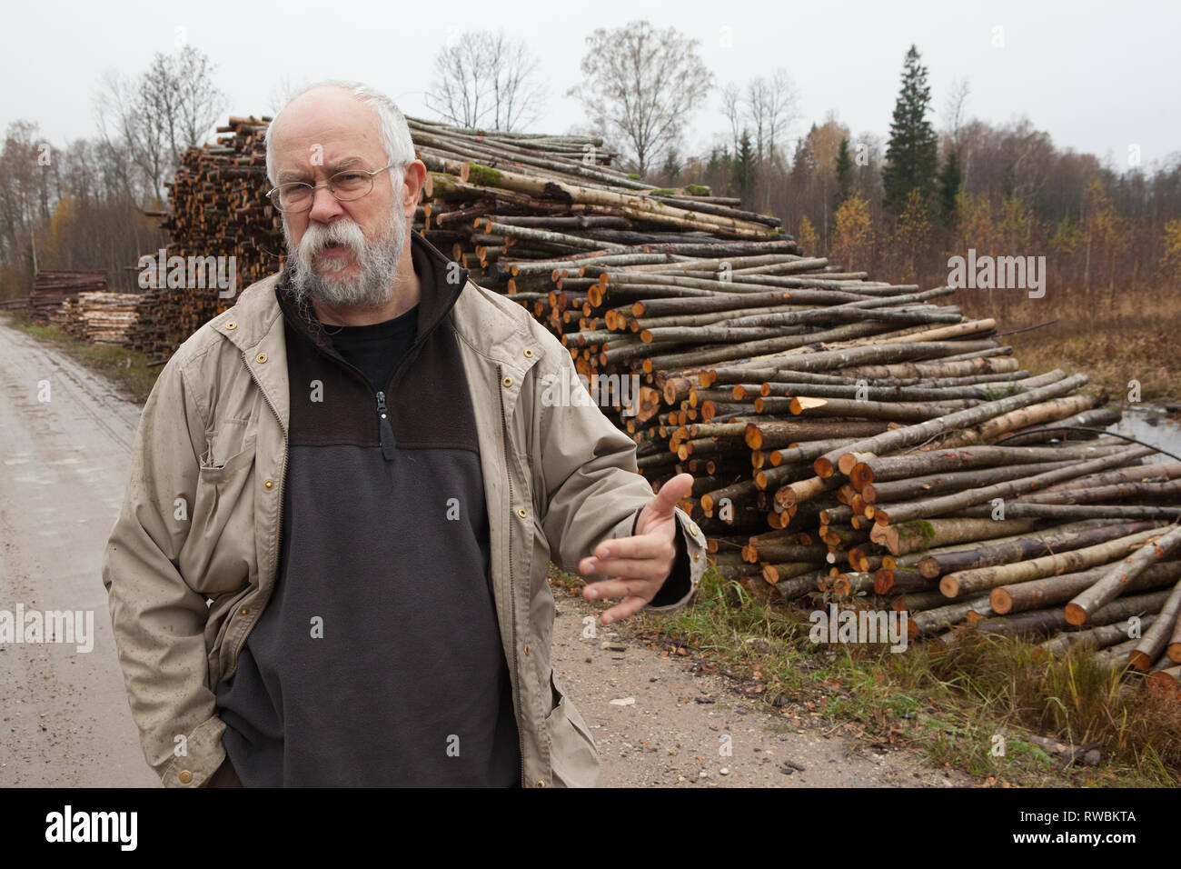 L'homme sur un chemin de terre à côté de l'écartement de la forêt les troncs d'arbres empilés sur route, la Lettonie Banque D'Images