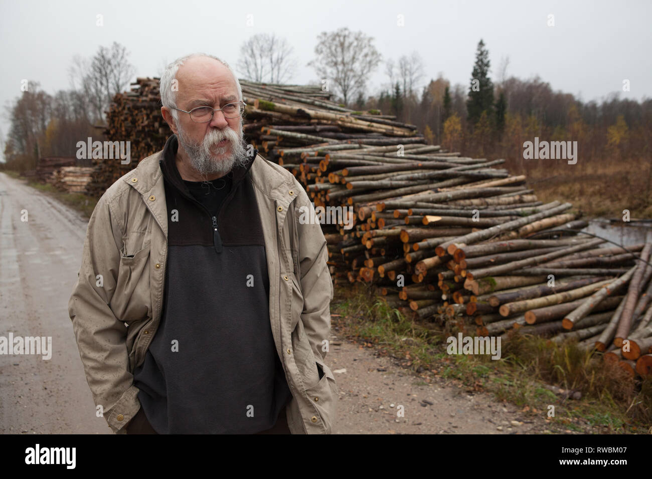 L'homme sur un chemin de terre à côté de l'écartement de la forêt les troncs d'arbres empilés sur route, la Lettonie Banque D'Images