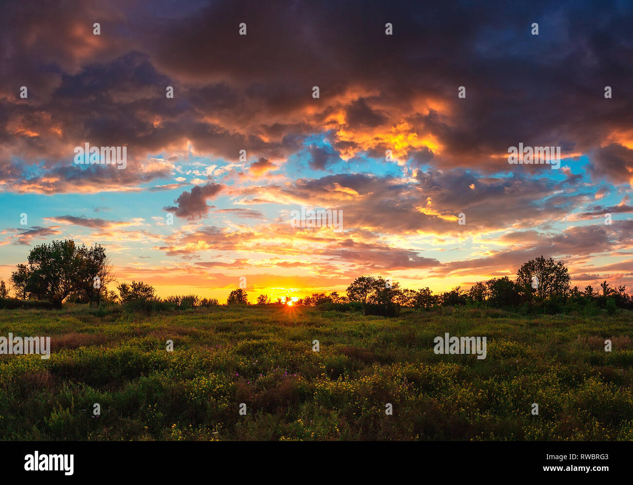 Été nuageux coucher de soleil sur la steppe zone inférieure. Fleur de steppe et terre de soleil lumineux. Banque D'Images