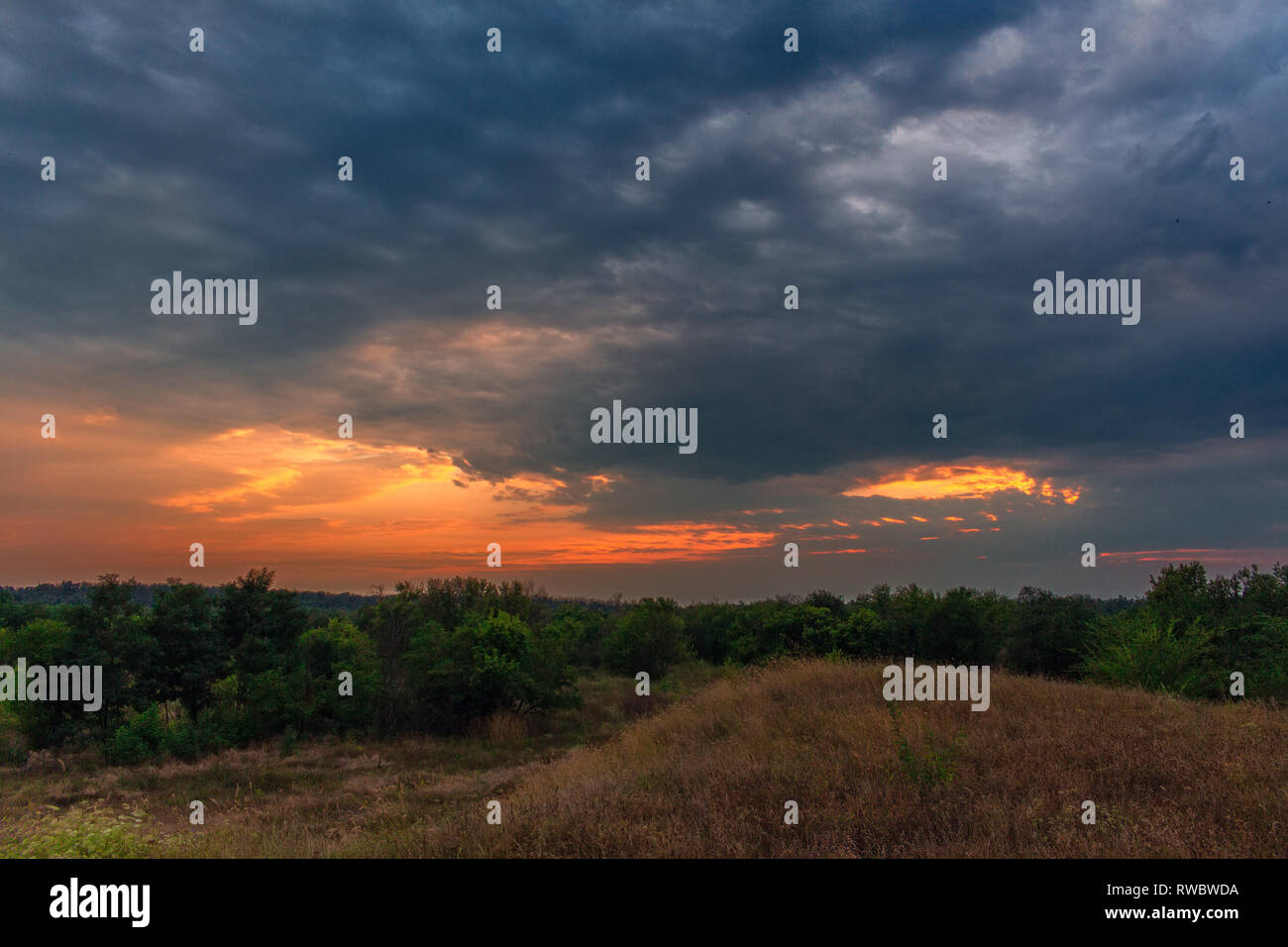 Paysage de steppe d'été. Beau coucher de soleil d'été dans Krivoï Rog, Ukraine. Beau temps nuageux Banque D'Images