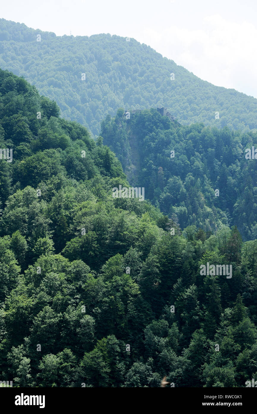 Cetatea gothique (Château Poenari Poenari) dans Poenari, Roumanie. 19 juillet 2009, construite en XIII siècle et reconstruit en XV siècle par Vlad l'Empaleur voivo Banque D'Images