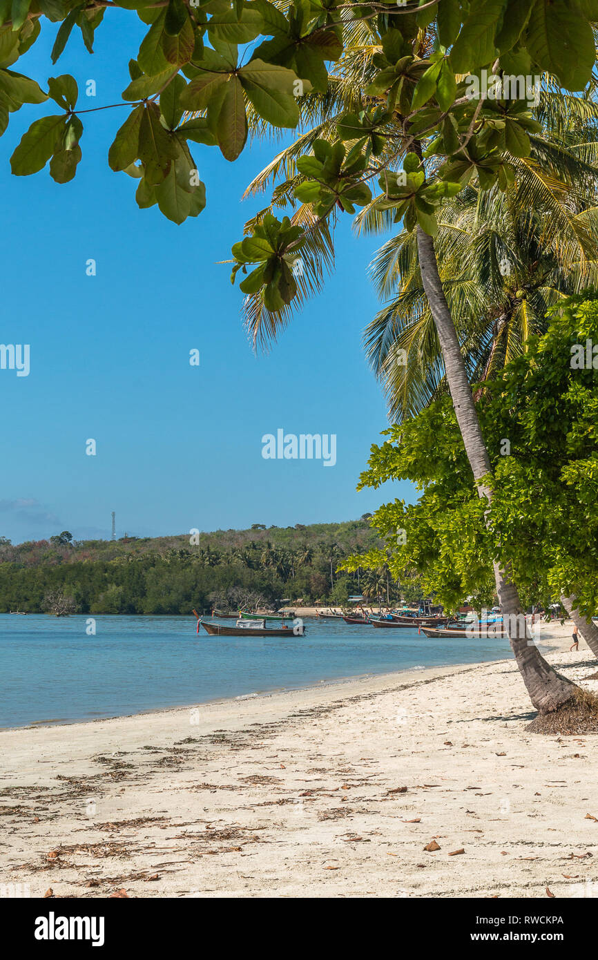 À Long Beach, Koh Mook Sivalai,Thaïlande. Février 2019. Banque D'Images