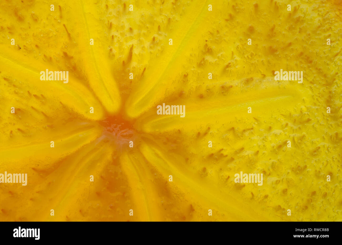 Ressources graphiques Background concept. Macro closeup kaki coupe de fruits. Banque D'Images