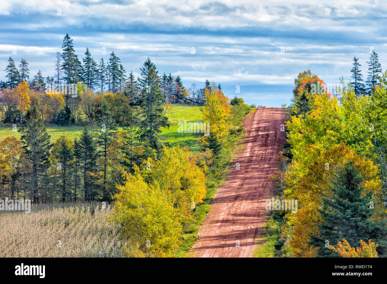 Johnston Road, Prince Edward Island, Canada Banque D'Images