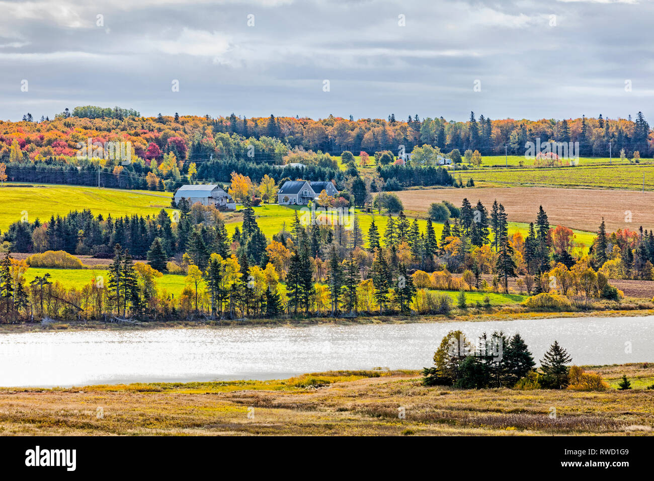 Avis de Clyde River, Prince Edward Island, Canada Banque D'Images