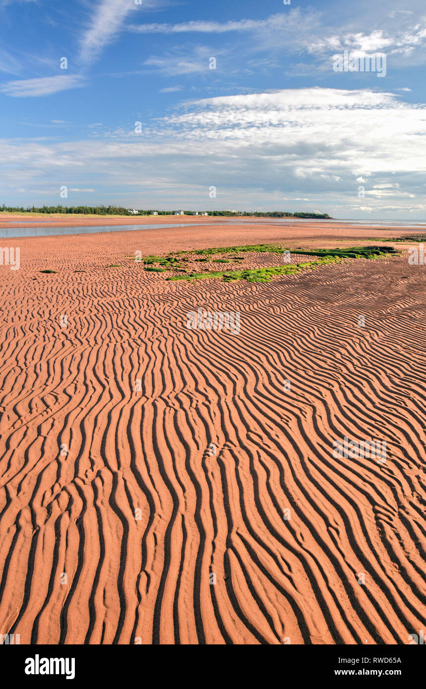 Marée basse, Cape Traverse, Prince Edward Island, Canada Banque D'Images