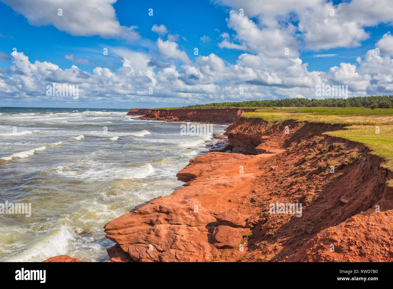 Falaises de grès rouge, Cavendish, Prince Edward Island National Park, Prince Edward Island, Canada Banque D'Images