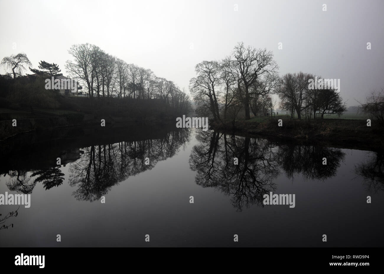 Les arbres se reflètent dans la rivière Wharfe dans la lumière du matin à Wetherby, Yorkshire, Angleterre le 25 février 2019. John Voos/TSL Banque D'Images