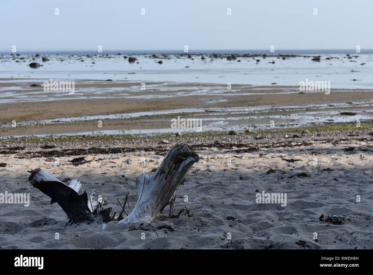 Plage Près de Tadoussac, Québec, Canada Banque D'Images