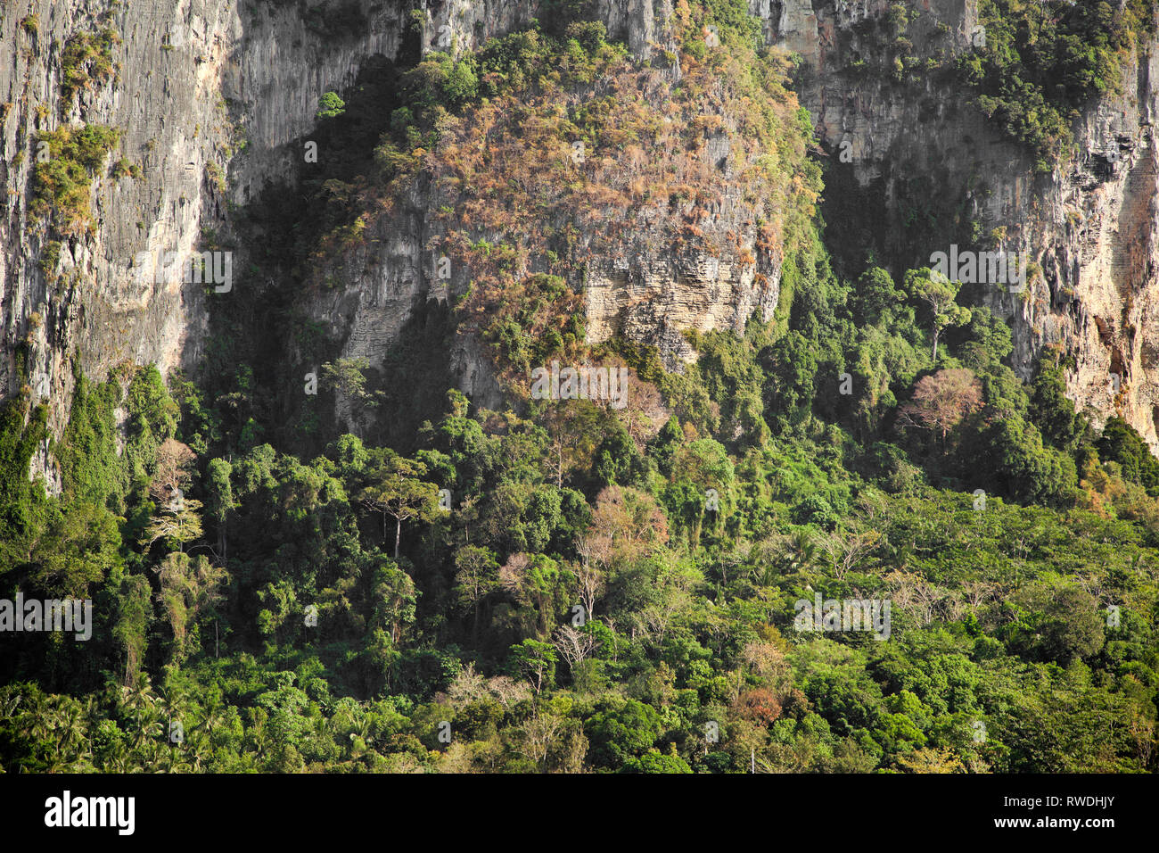 Ao Nang, Krabi, Thaïlande, collines karstiques avec couvert forestier Banque D'Images