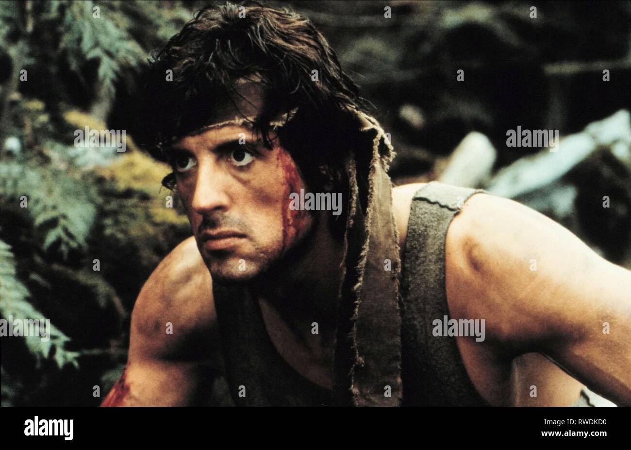 SYLVESTER STALLONE, First Blood, 1982 Banque D'Images