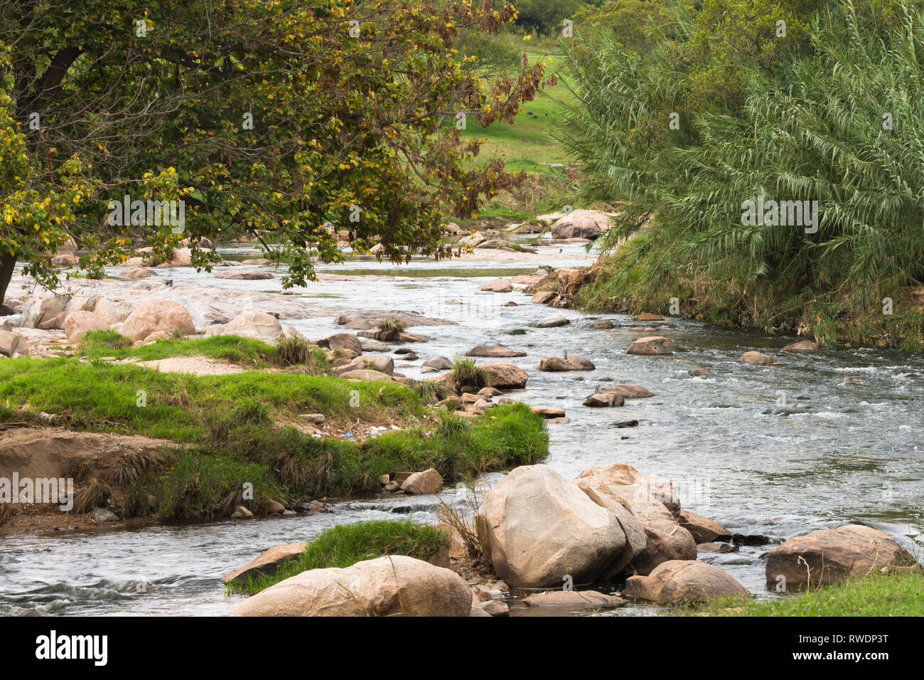 Une pièce ou partie d'une rivière qui coule en cascade sur les rochers, et autour d'un coude ou d'angle de la pollution atmosphérique sur l'herbe les banques et arbres et herbe Banque D'Images
