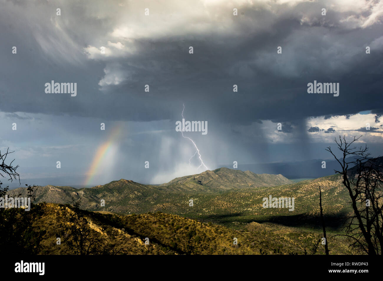 Immense tempête sur les monts Chiricahua, Arizona avec éclairs et Rainbow Banque D'Images