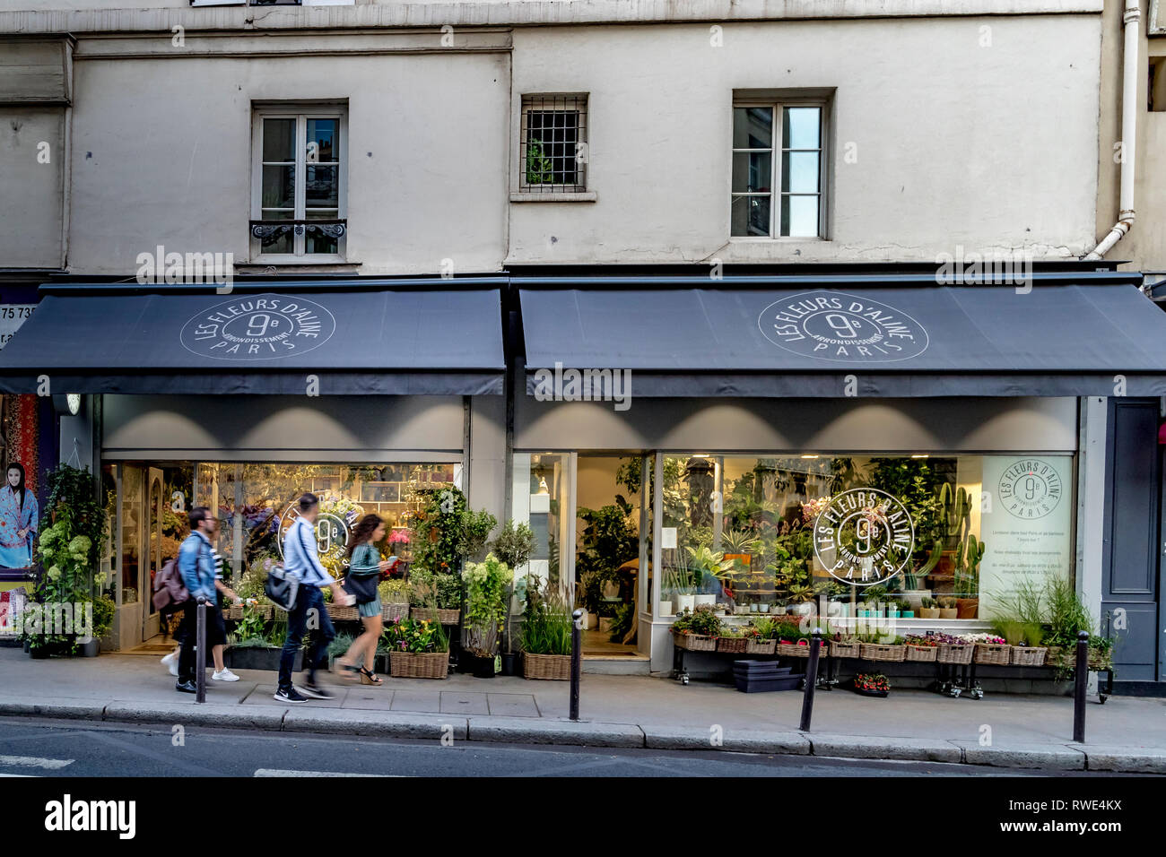 Les Fleurs d'Aline un fleuriste sur Rue Notre Dame de Lorette dans le St Georges ,9e arrondissement de Paris Banque D'Images
