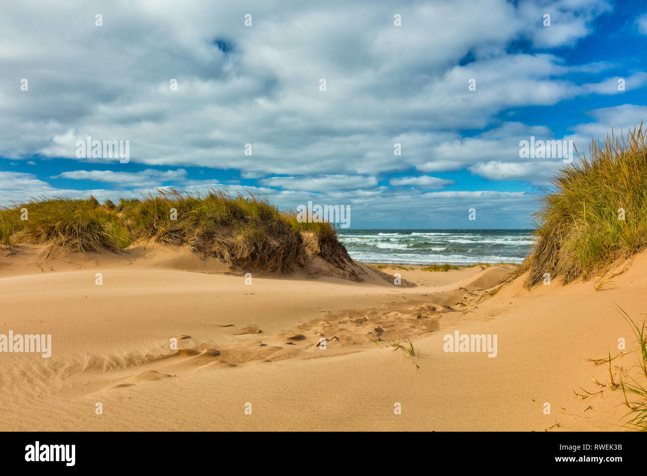 Dunes de sable, de Blooming Point, Prince Edward Island, Parc National, Canada Banque D'Images