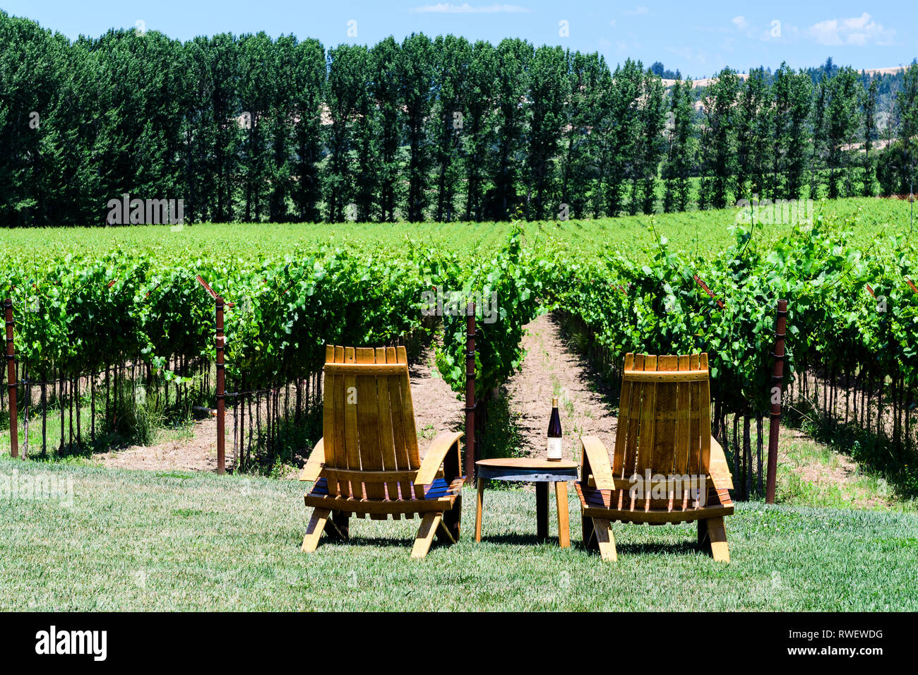 Deux chaises et une bouteille de vin à Navarro Navarro Vineyards près de Philo, Californie, USA. Banque D'Images