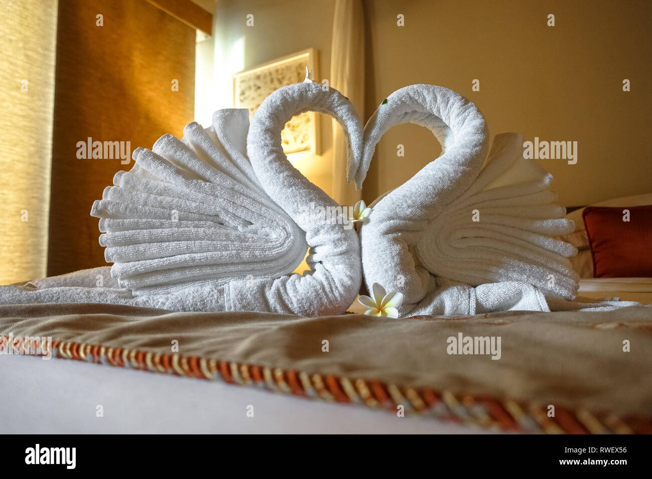 Serviette cygne plié Banque de photographies et d'images à haute résolution  - Alamy