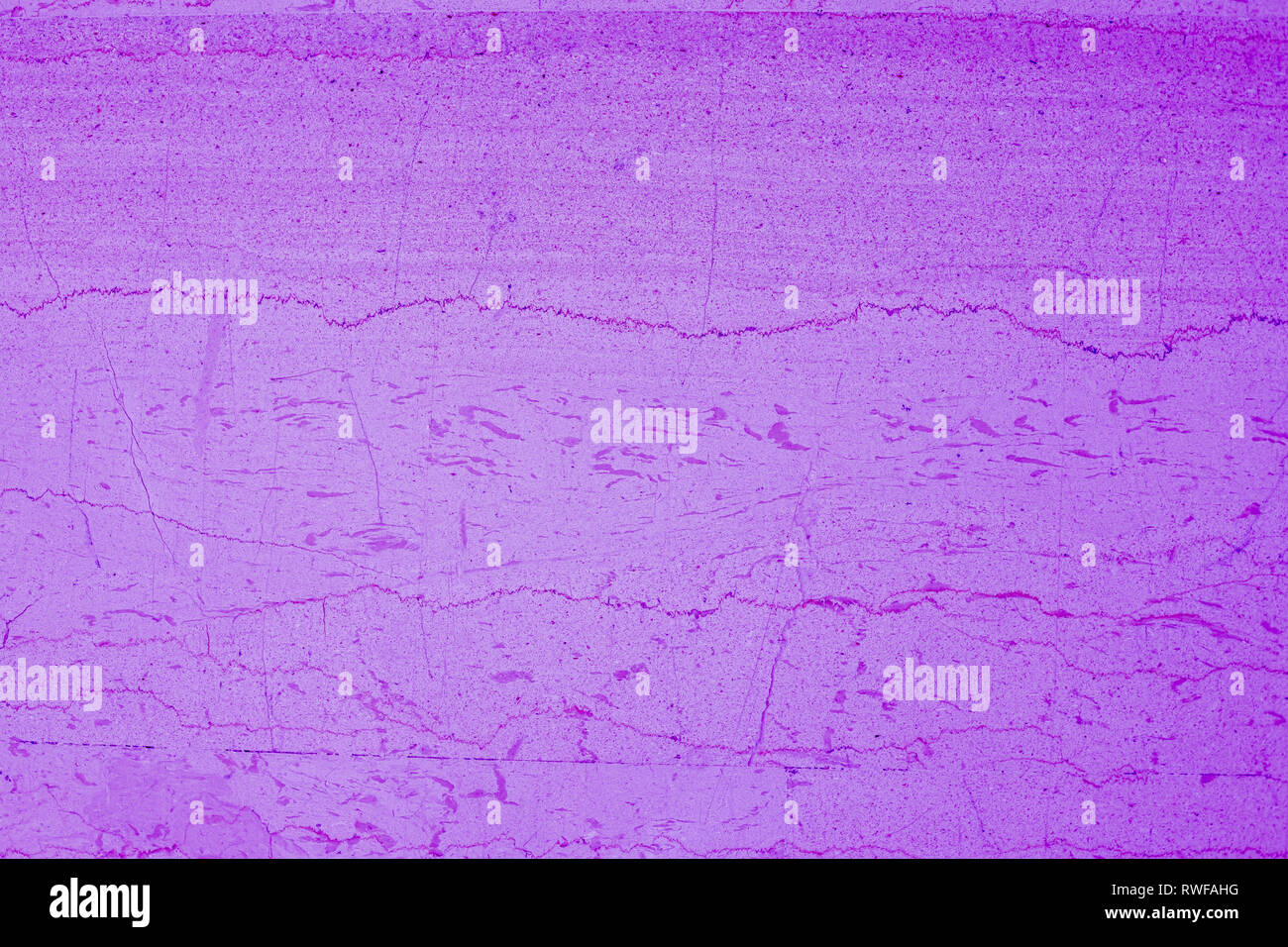 Violet Proton mur Grunge texture ciment, plâtre background.glowing neon.pierre Textures.Purple Proton.mur en couleur néon lumineux. Et la mode Banque D'Images