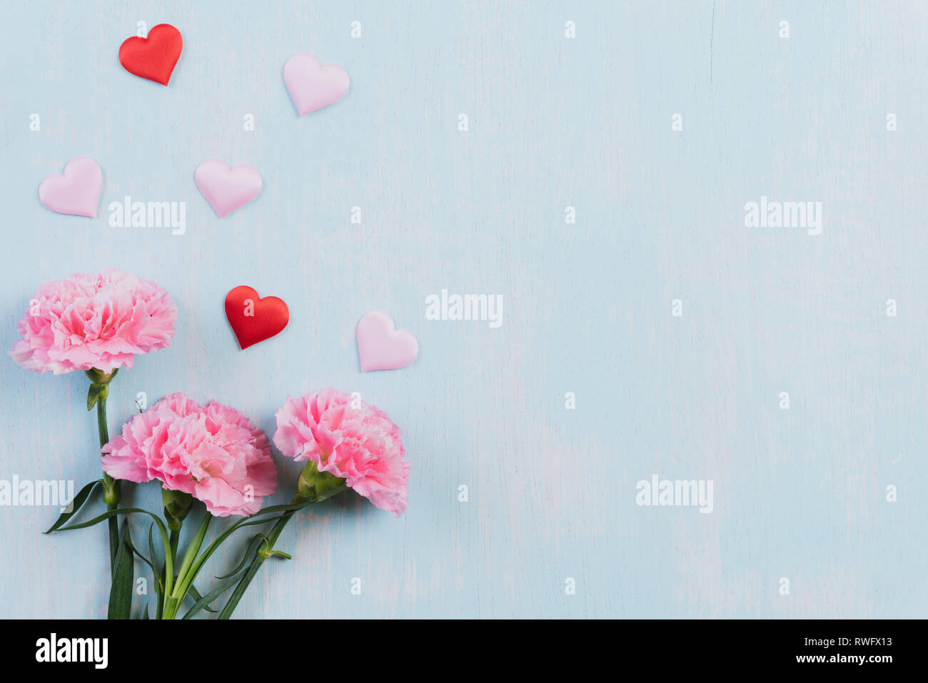 La Saint Valentin Et L Amour Gratuit Fleur Oeillet Rose Avec Cœur Rouge Sur Fond Bleu Pastel Photo Stock Alamy La Saint Valentin Et L Amour Gratuit Fleur Oeillet Rose Avec Cœur Rouge Sur Fond Bleu Pastel Photo Stock Alamy