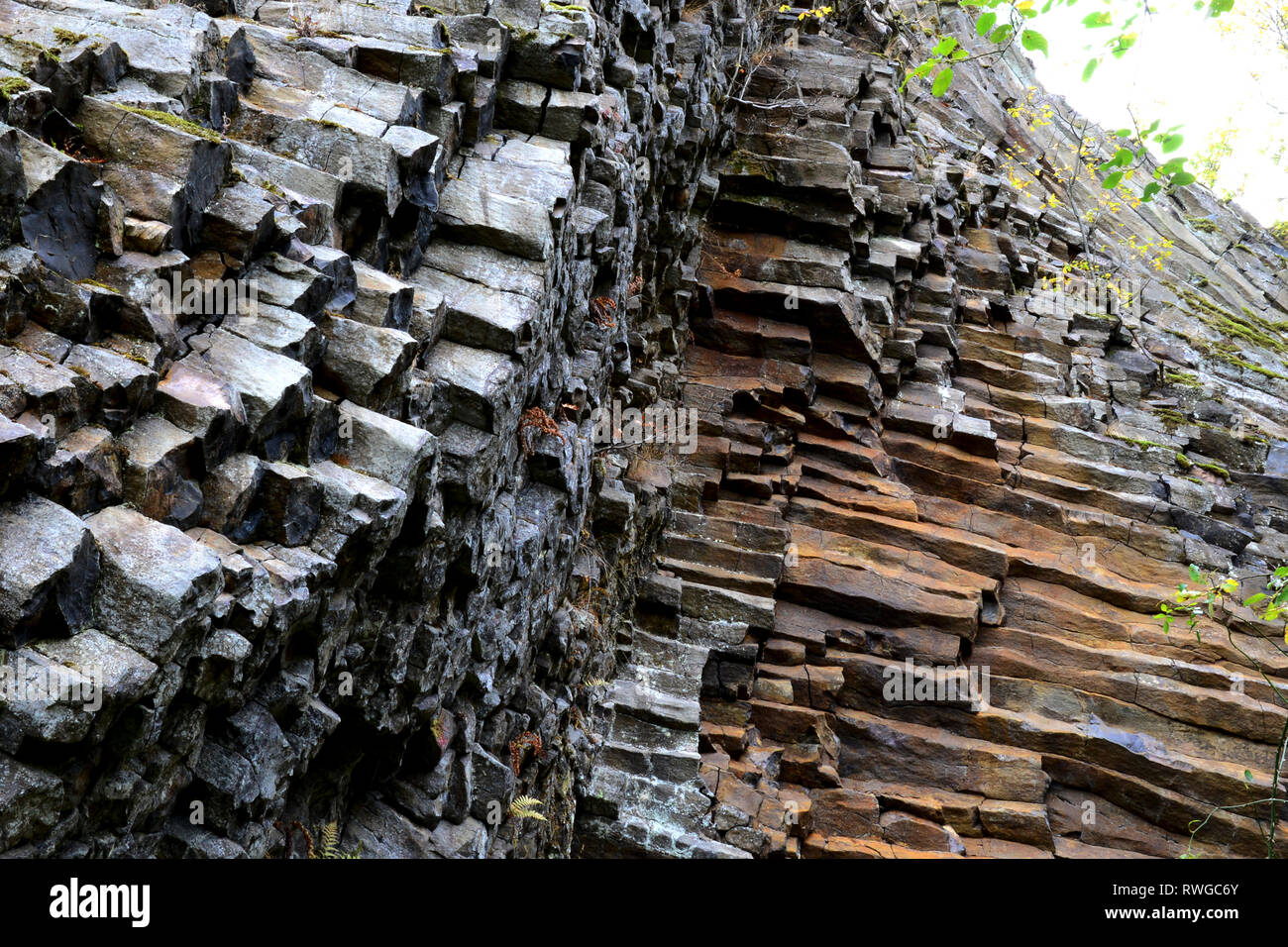 'Lindenstumpf' sommet de basalte en Rhoen, Bavière, Allemagne. Basalte colonnaire Banque D'Images