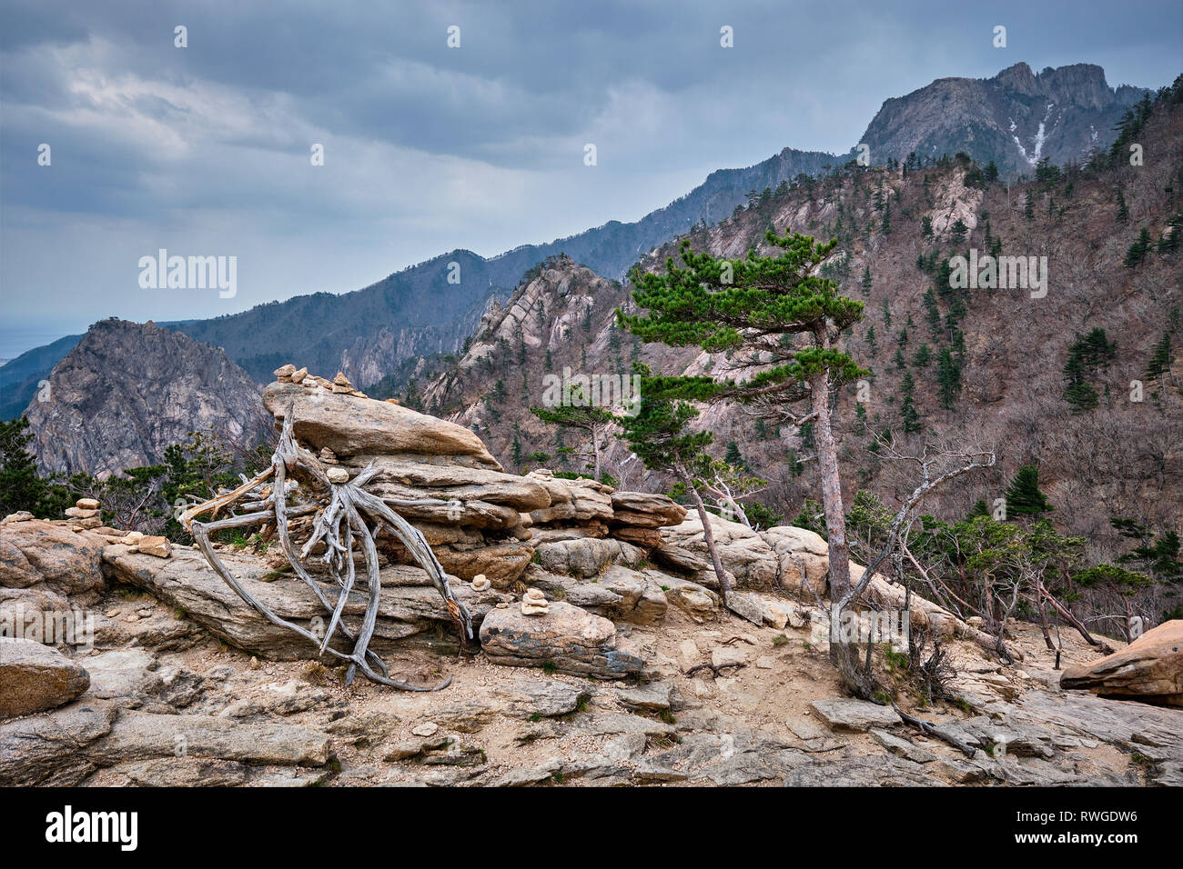 Des roches et des pierres dans le Parc National de Seoraksan, Corée du Sud Banque D'Images