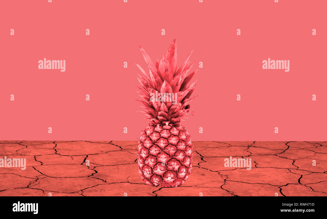 L'ananas sur une terre sèche rouge et un fond rouge Banque D'Images