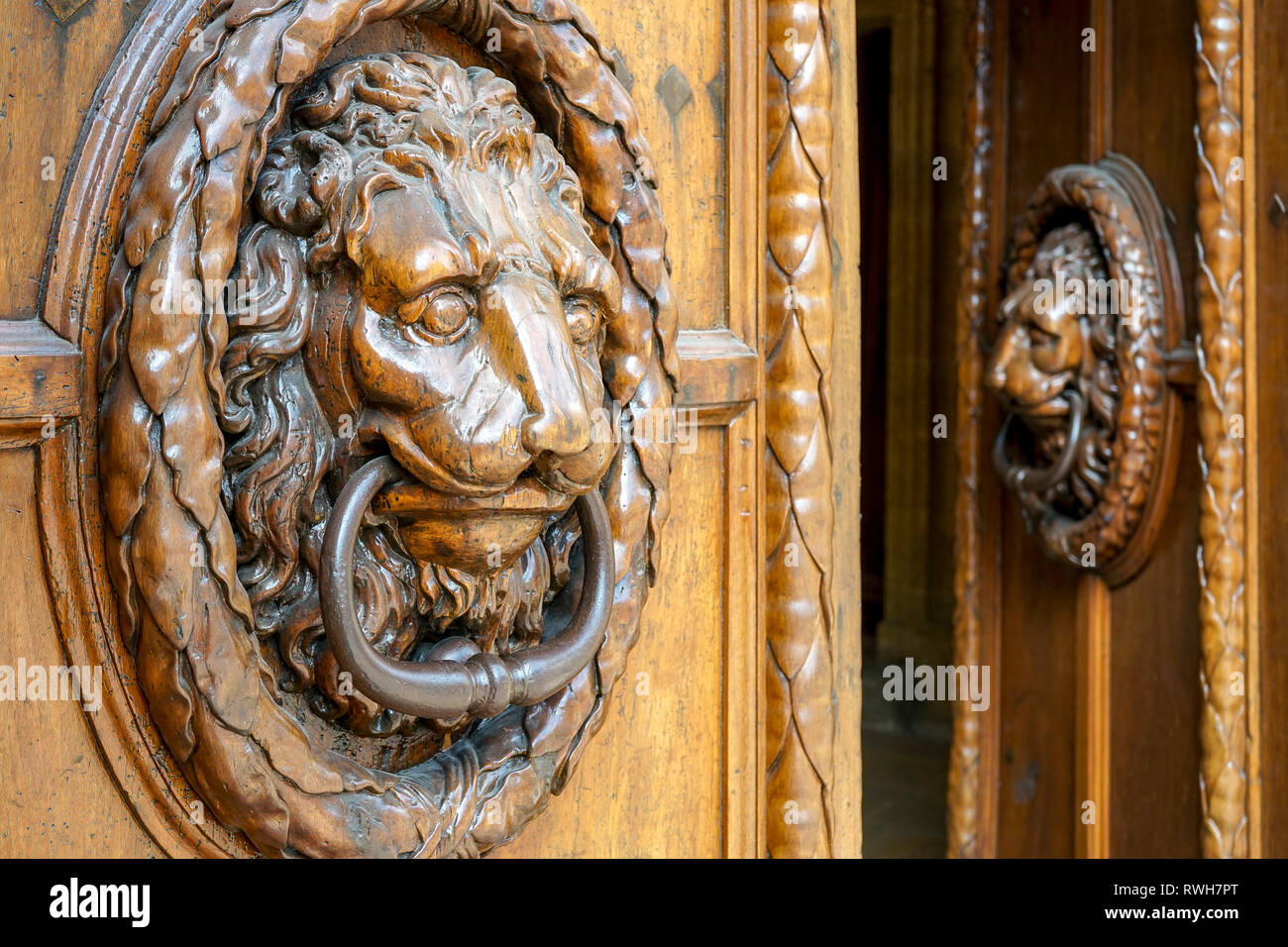 Bouches-du-Rhône (13). AIX en Provence. Porte-perce en bois sculpté en forme de tête de lion Banque D'Images