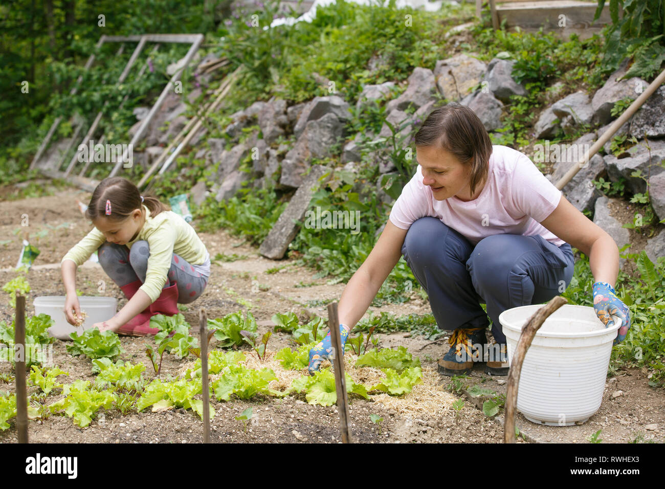 Mère et fille travaillant ensemble dans le potager. Temps de qualité, relation mère-fille, collage et du concept d'aliments biologiques. Banque D'Images