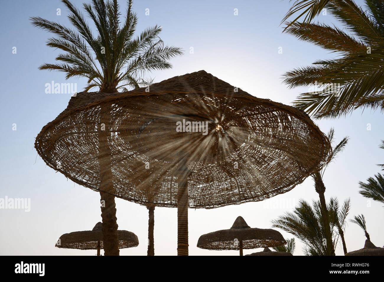 Les rayons du soleil qui brille à travers les trous du cadre en bois sur la plage entourée de palmiers. Banque D'Images