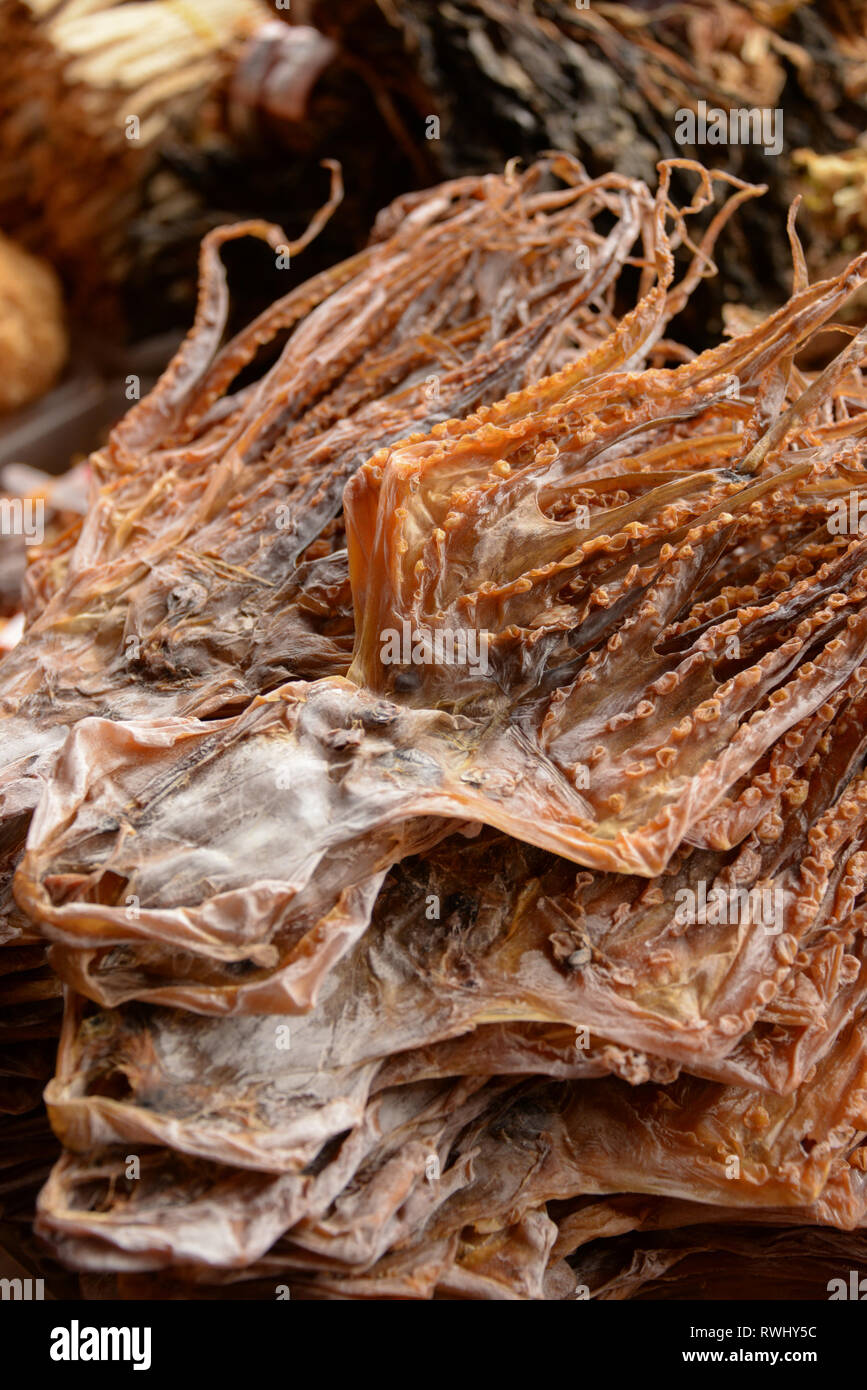 En Asie, Singapour, poulpe séchées Banque D'Images