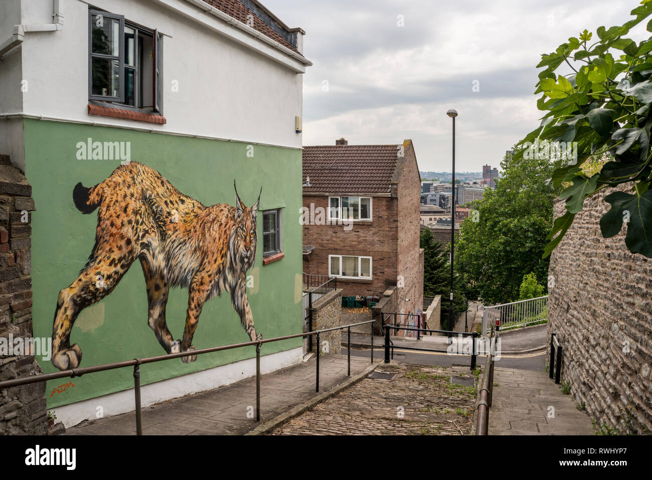 Très beau dessin de lynx sur mur de chambre, Bristol, Royaume-Uni Banque D'Images