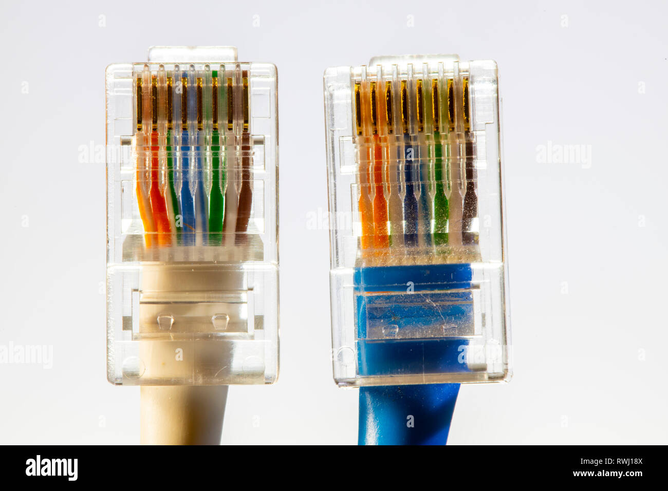Internetverbindung, RJ45 Stecker Kabel, LAN, Ethernet, Patchkabel, Banque D'Images