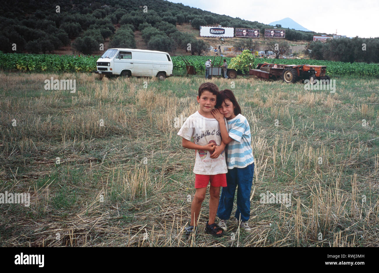 Les enfants de l'agriculteur du tabac au moment de la récolte, près de Lamia, Grèce centrale. Banque D'Images