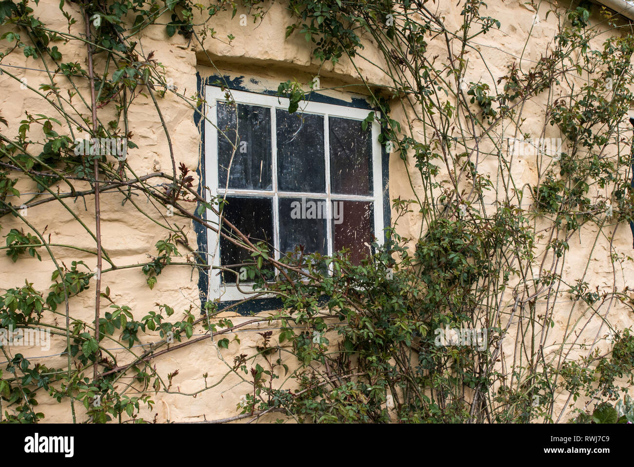 Fenêtre dans le besoin de rénovation Banque D'Images