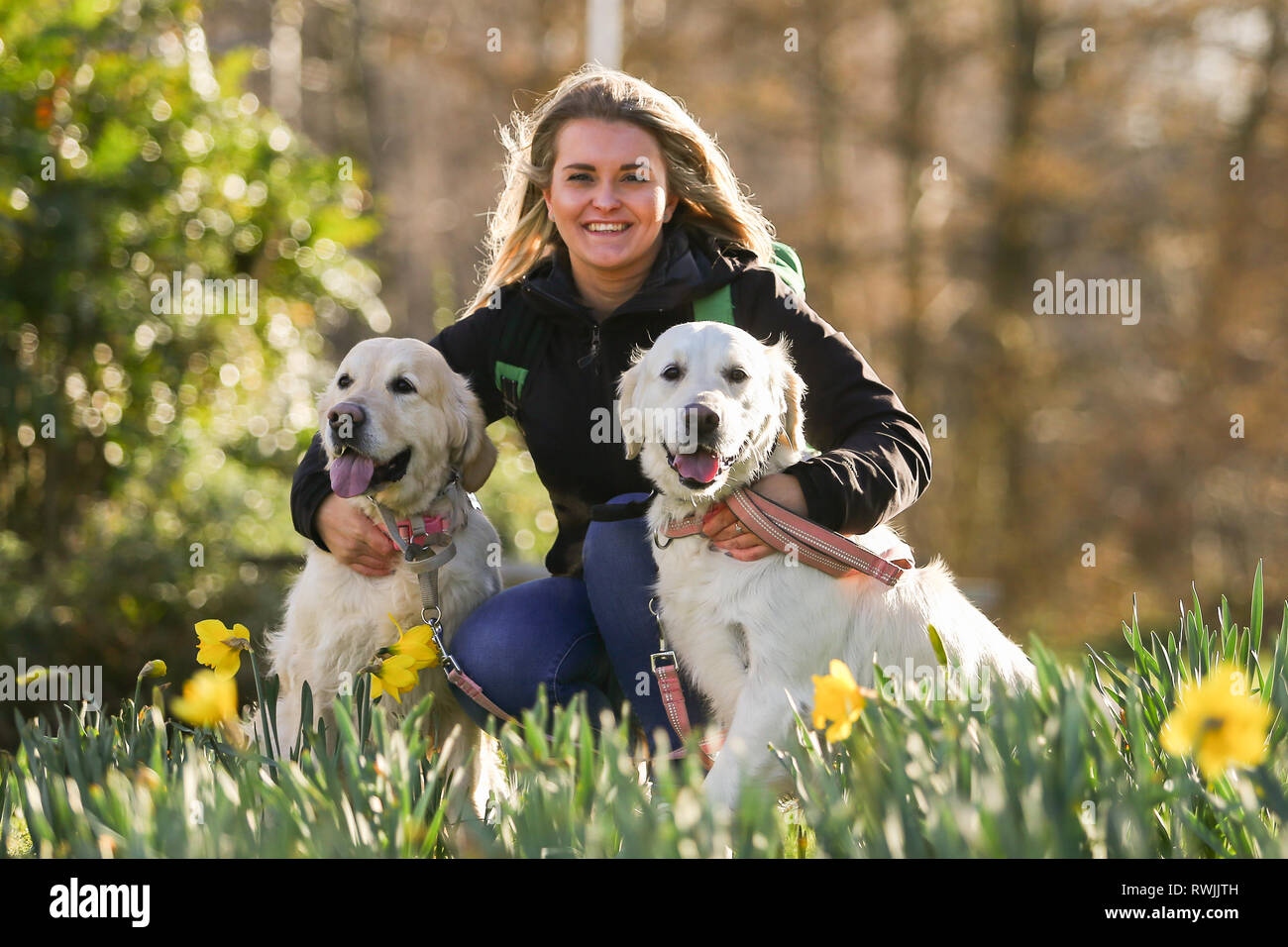 Birmingham, UK. 7 mars, 2019. Chiens d'exposition venant avec leur propriétaire pour le premier jour de Crufts 2019 qui se tiendra à l'NEC plus de quatre jours. 27 000 chiens devraient être indiqués sur les quatre jours, 220 espèces différentes, et avec une estimation de 165 000 amoureux de chien en visite. Crédit : Peter Lopeman/Alamy Live News Banque D'Images